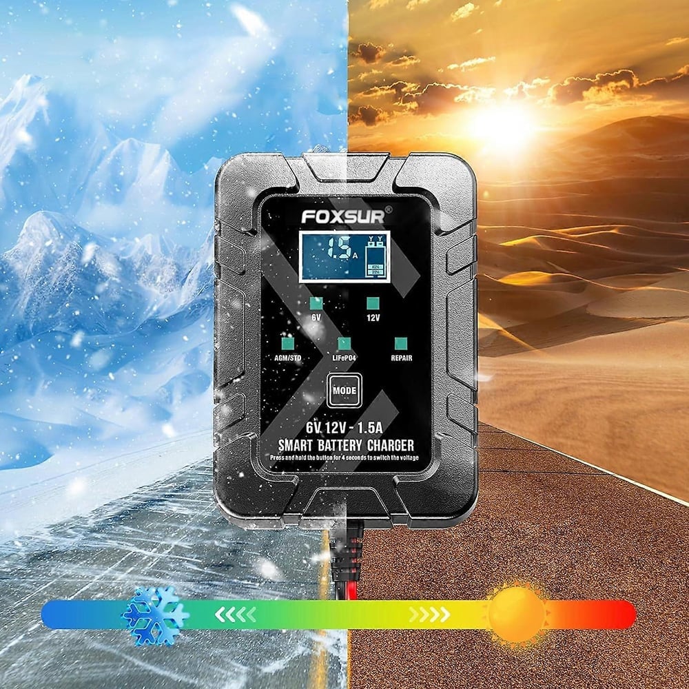 6V/12V Automatic Intelligent Recognition Charger