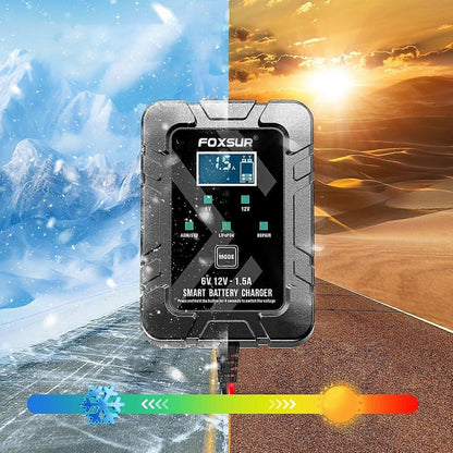 6V/12V Automatic Intelligent Recognition Charger