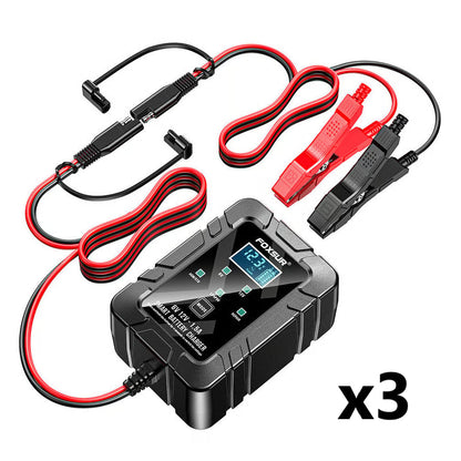 6V/12V Automatic Intelligent Recognition Charger