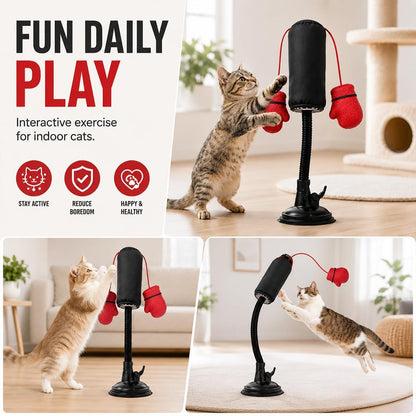 🥊🐈Cat Punching Bag Toy Cats