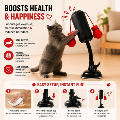 🥊🐈Cat Punching Bag Toy Cats
