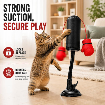 🥊🐈Cat Punching Bag Toy Cats