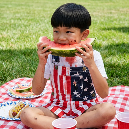 American Flag Kids Overalls
