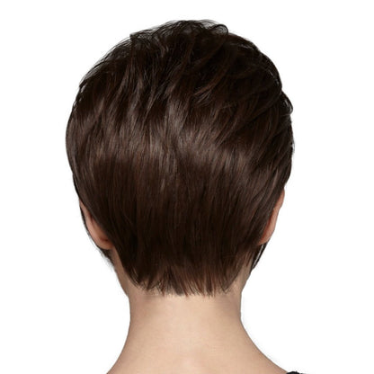 Stacked Bob in 2/4R -  Look Fabulous Collection by TressAllure ***CLEARANCE***