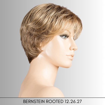 Cara 100 Deluxe - Hair Power Collection by Ellen Wille