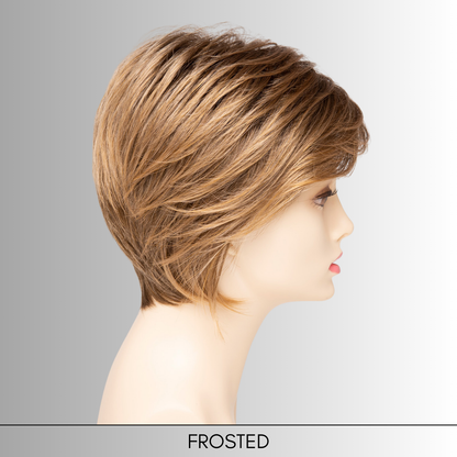 Chantel - Synthetic Wig Collection by Envy
