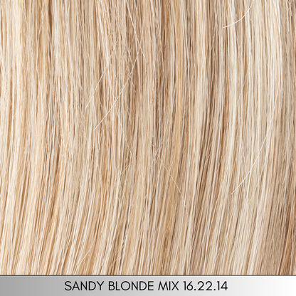 Famous Remy Human Hair  - Top Power Collection by Ellen Wille